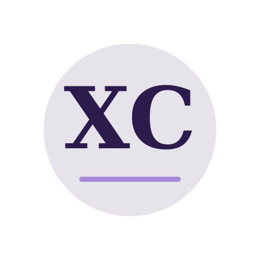 Xaxen Chimney Services logo